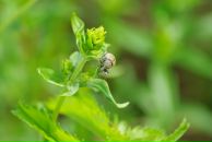 Виталий Маланин фотография #39 (источник - https://vk.com/id698311)