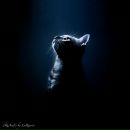 Фотография Лялина Михаила