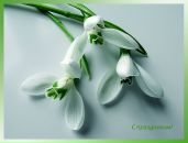 Фотография Руденко Валентины