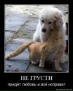 Фотография Куксова Евгения