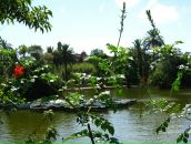 Віка Петрів фотография #14 (источник - https://vk.com/id44594946)