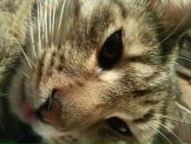 Фотография Куратова Константина