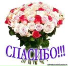 Лёличка =) фотография #47 (источник - https://vk.com/id3771928)