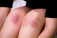 Поля Чудес фотография #25 (источник - https://vk.com/id1996339)