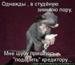 Фотография Ефимовой Юлии