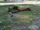Тоха Трофімов фотография #32 (источник - https://vk.com/id85663620)