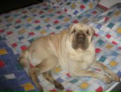 Фотография Саловой Иры