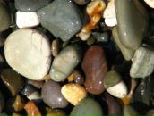 Фотография Лебезкиной Марии