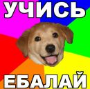 Фотография Алексеева Тимофея