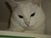 Фотография Дорофеева Василия