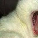 Руслан Червінський фотография #38 (источник - https://vk.com/id25020766)