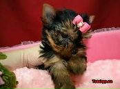 Владлєна Козачок фотография #31 (источник - https://vk.com/id98642620)