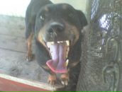 Едік Шептицький фотография #24 (источник - https://vk.com/id67126632)