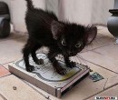 Сергій Мудрик фотография #1