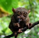 Софья Панфилова фотография #50 (источник - https://vk.com/id3386280)