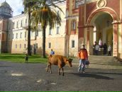 Фотография Кочурова Арсения