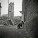 Фотография Кокориной Юлии