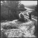 Фотография Сасковец Галины