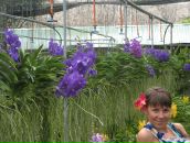 Фотография Белобровой Оксаны