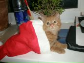 Фотография Nothere Anna