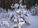 Дмитро Білостоцький фотография #18 (источник - https://vk.com/id21667014)