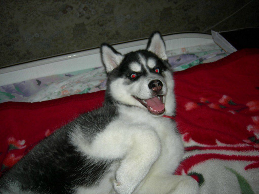 Денис Линник фотография #41