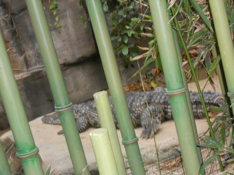 Тарас Стадник фотография #40