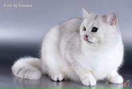 Фотография Нееловой Ирины