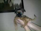 Фотография Понявина Жени