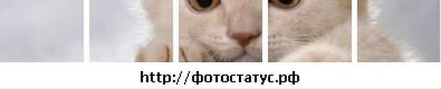 Ксенія Федорій фотография #30 (источник - https://vk.com/id85191373)