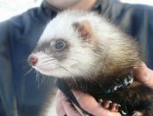 Фотография Мичанина Алексея