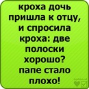 Софа Гриців фотография #10 (источник - https://vk.com/id135177807)