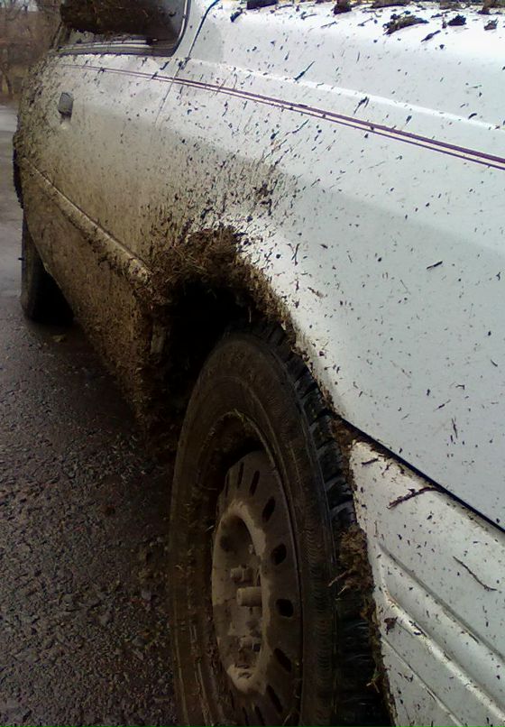 Илья Кошелев фотография #34