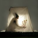 Фотография Максимов Александр