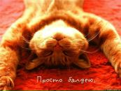 Фотография Тимофеева Сергея