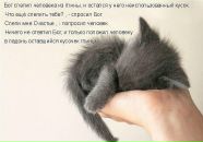 Сергій Богусевич фотография #30 (источник - https://vk.com/id63311509)