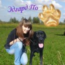 Эдуард Κрюков фотография #29 (источник - https://vk.com/id8140721)