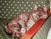 Фотография Мустяцы Марины