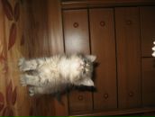 Юра Пєшков фотография #24 (источник - https://vk.com/id98355456)