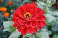 Андрій Моронжук фотография #5 (источник - https://vk.com/id54945208)