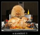 Любовь Κарасева фотография #8 (источник - https://vk.com/id149037652)