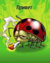 Віктор Пшенов фотография #50 (источник - https://vk.com/id139457887)