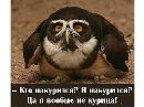 Фотография Игнатьевой Юлии