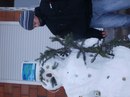 Сергій Яворський фотография #14 (источник - https://vk.com/id159200145)
