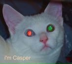 Фотография Воронова Павла