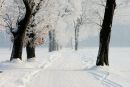 Анжеліка Шадура фотография #45 (источник - https://vk.com/id147489180)