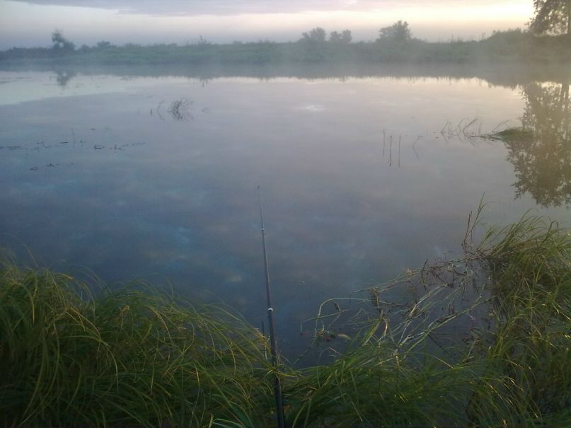 Альберт Туз фотография #39