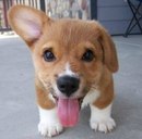 Аліна Кашпур фотография #41 (источник - https://vk.com/id153190856)