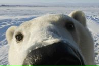 Фотография Кочетовой Анастасии