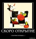 Κристина Κарпова фотография #17 (источник - https://vk.com/id159489248)